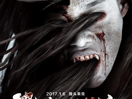 共生大学学士成绩单
